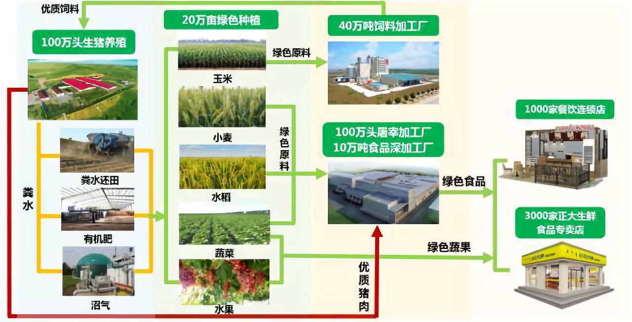 21世紀農業“接地氣”新篇章 種養結合模式的價值與商業機遇