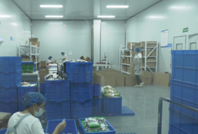 許昌市建安區(qū)河街鄉(xiāng): 工廠建在家門口 就業(yè)增收有奔頭